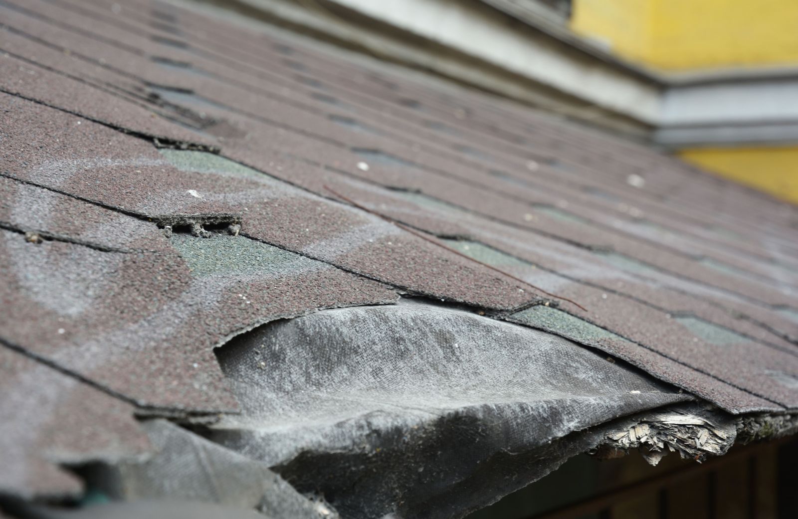 Chandler Roofing Images